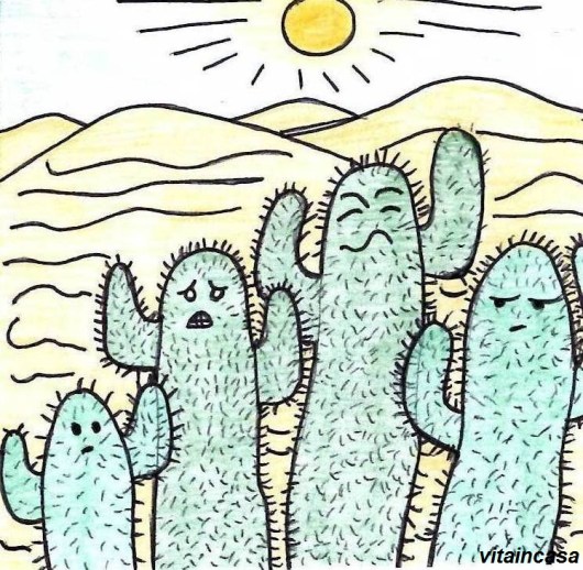 Cactus