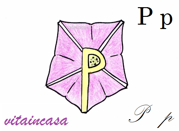 p di petunia by vitaincasa res