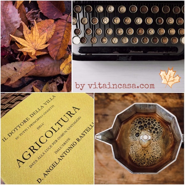 fall words and images