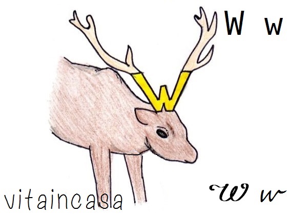 W di Wapiti by vitaincasacom