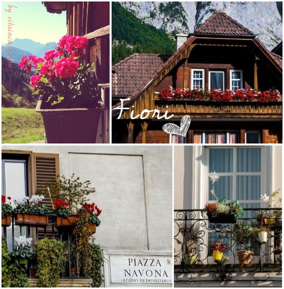 fiori balconi (2).jpg