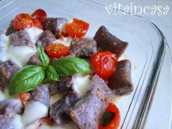 gnocchi 4 res mod (1)