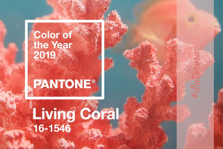 Colore dell anno Pantone 2019 by vitaincasa.jpg