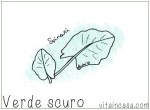 verde scuro spinacio