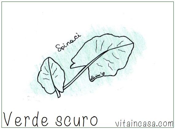 verde scuro spinacio