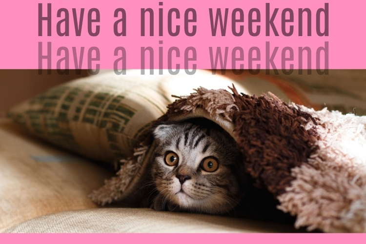 09.Have a nice weekend