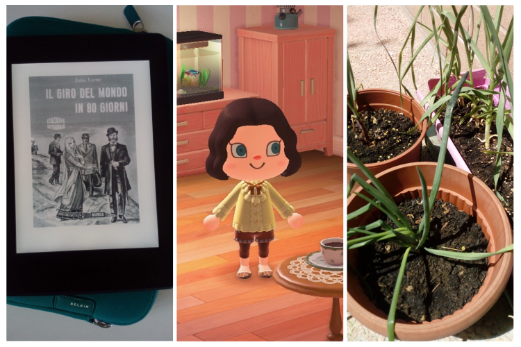 Giro del mondo Animal crossing Orto in vaso by vitaincasa (1)