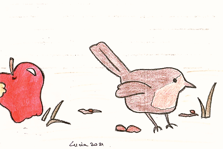 La mela stregata e luccellino by vitaincasa filled