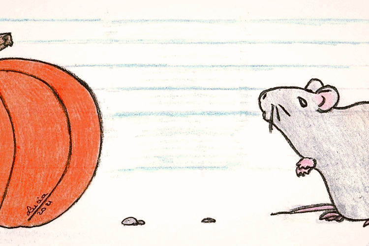 La zucca e il topolino by vitaincasa