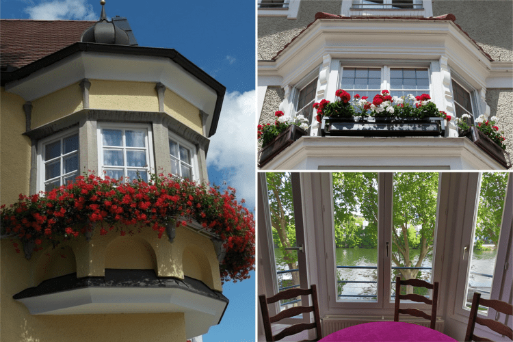 Bow windows, fiori e piante by vitaincasa