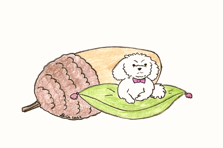 La ghianda e il cagnolini by vitaincasa res fill