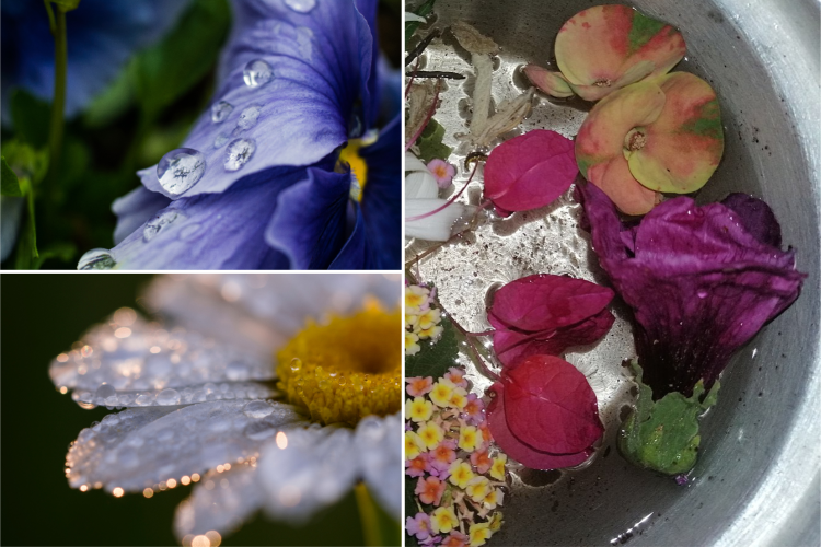 L'acqua di San Giovanni cold