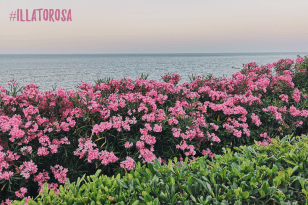 Oleandri e mare by vitaincasa d