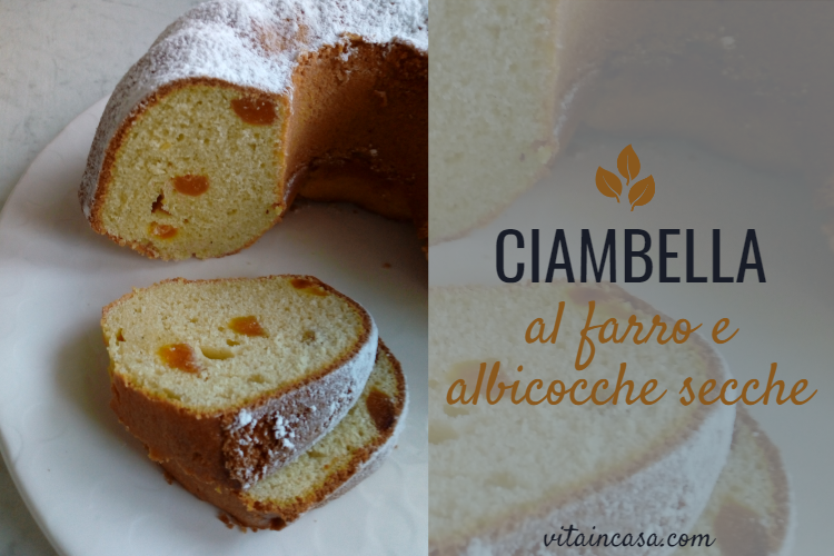 Ciambella al farro e albicocche secche by vitaincasa - copy