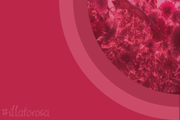 Vivamagenta by vitaincasa (3)