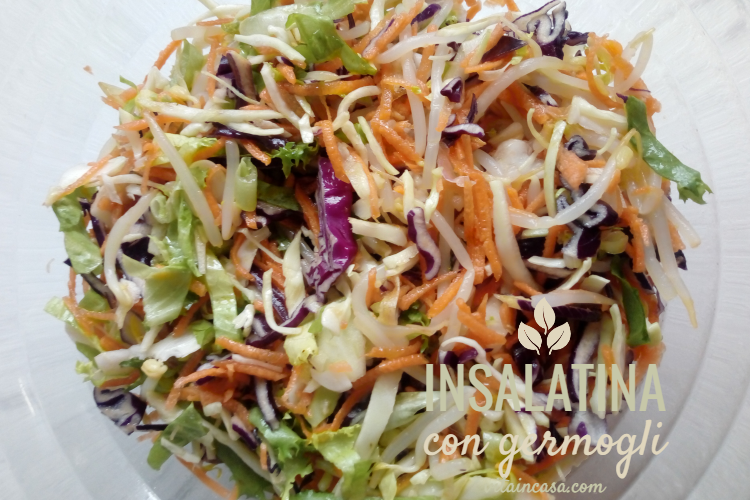 Insalatina con germogli by vitaincasa