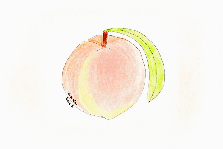 La storia della pesca che andò a pesca by vitaincasa